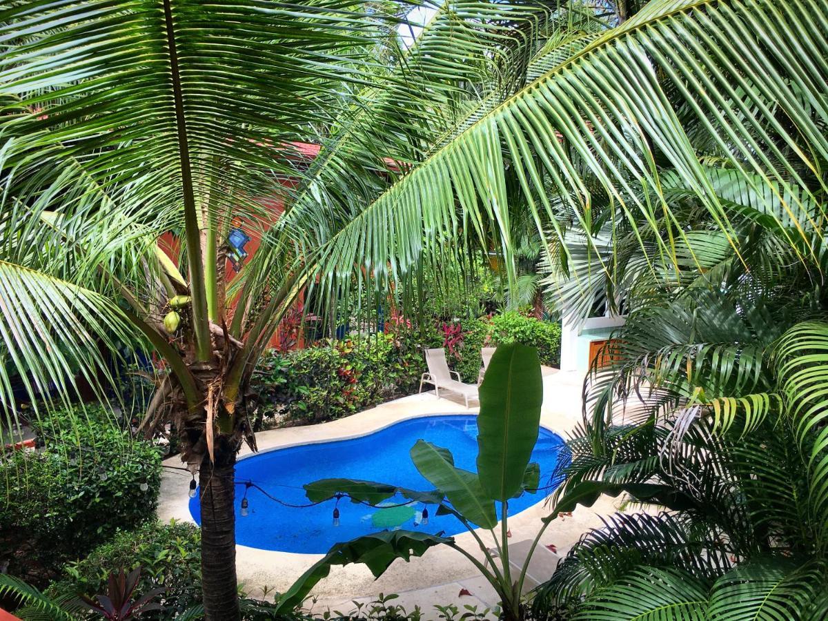 נוסארה Villa Tortuga מראה חיצוני תמונה